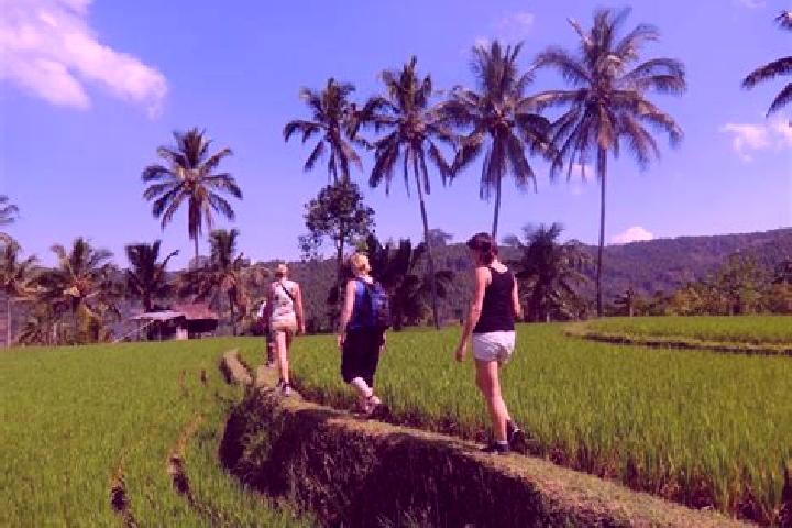 Escorts Kalibaru, Indonesia — Local Companions