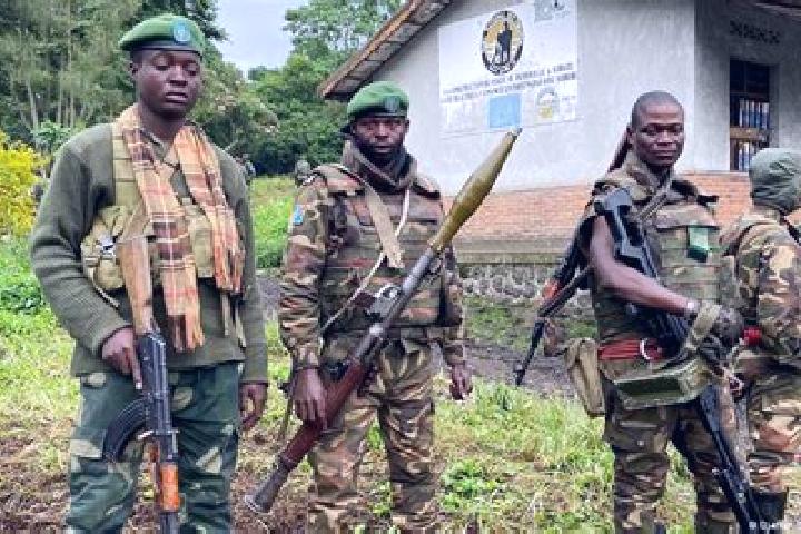 Escorts Kambove, DR Congo — Local Companions