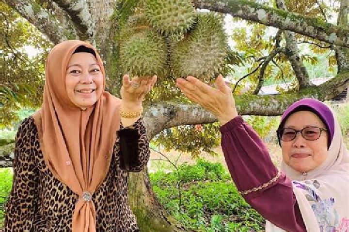 Escorts Kampung Simpang Durian, Malaysia — Local Companions
