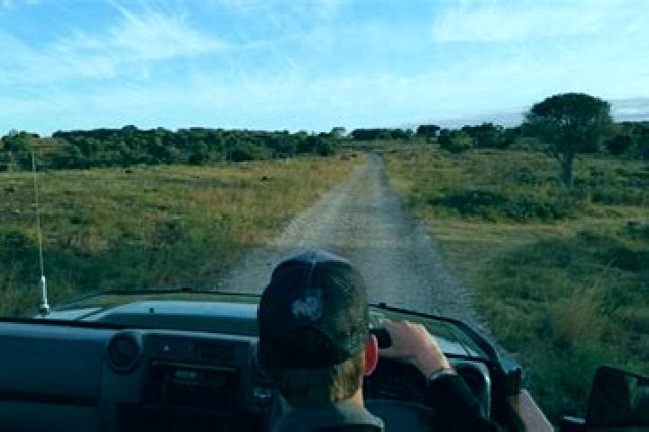Escorts Kariega, South Africa — Local Companions