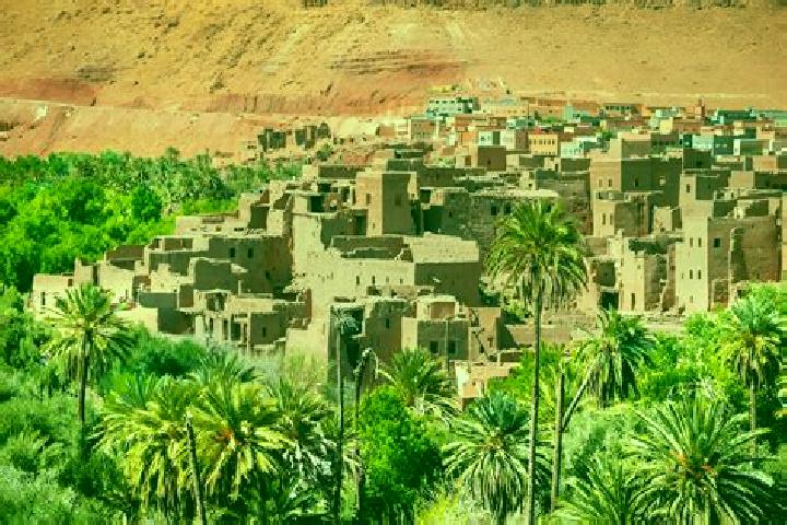 Escorts Kasba Tadla, Morocco — Local Companions
