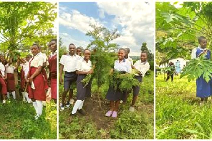 Escorts Kasese, Uganda — Local Companions