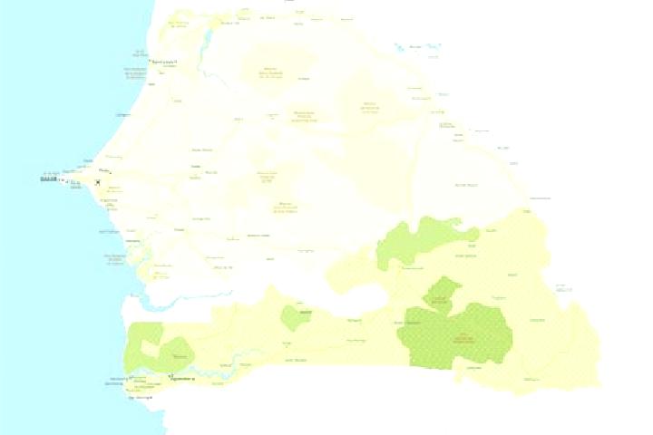 Escorts Kbombole, Senegal — Local Companions