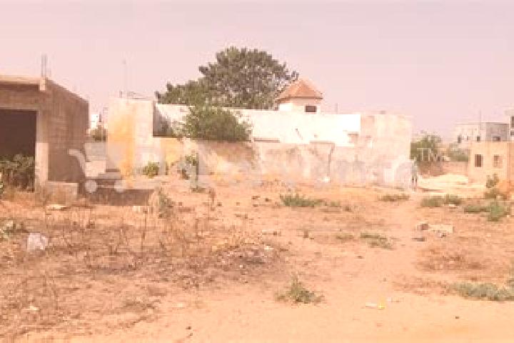Escorts Kebemer, Senegal — Local Companions