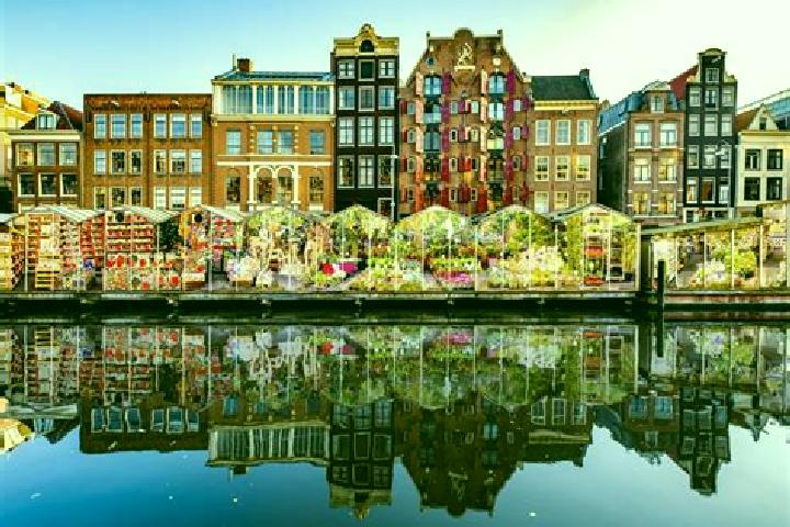 Escorts Keldonk, Netherlands — Local Companions