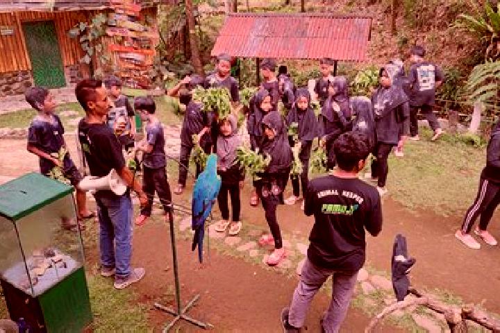 Escorts Kemuning, Indonesia — Local Companions