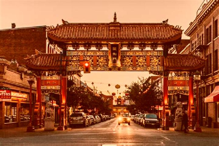 Escorts Kensington-Chinatown, Canada — Local Companions