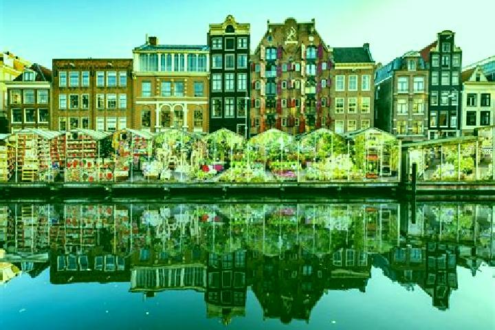 Escorts Kesteren, Netherlands — Local Companions