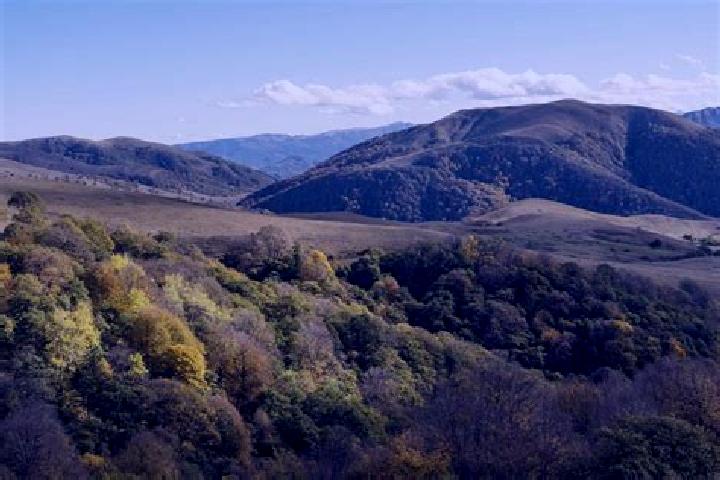 Escorts Kharagauli, Georgia — Local Companions
