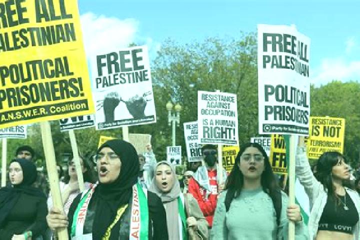 Escorts Kharas, Palestine — Local Companions