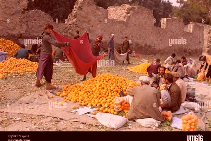 Escorts Khayr Kot, Afghanistan — Local Companions
