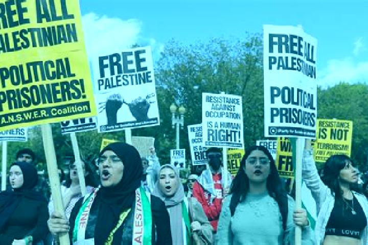 Escorts Khuza ah, Palestine — Local Companions