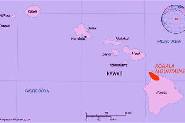 Escorts Kilauea, United States — Local Companions