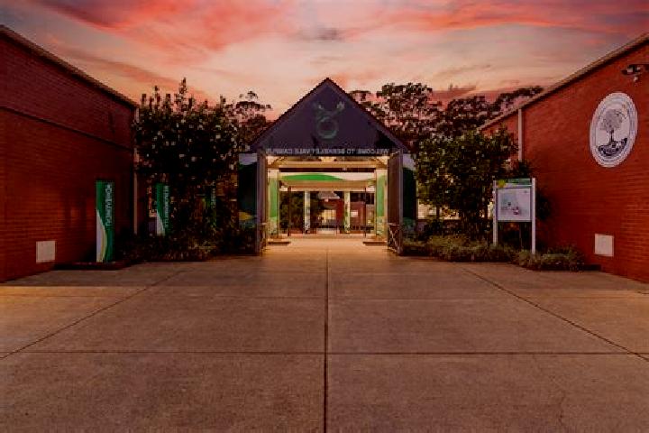 Escorts Killarney Vale, Australia — Local Companions