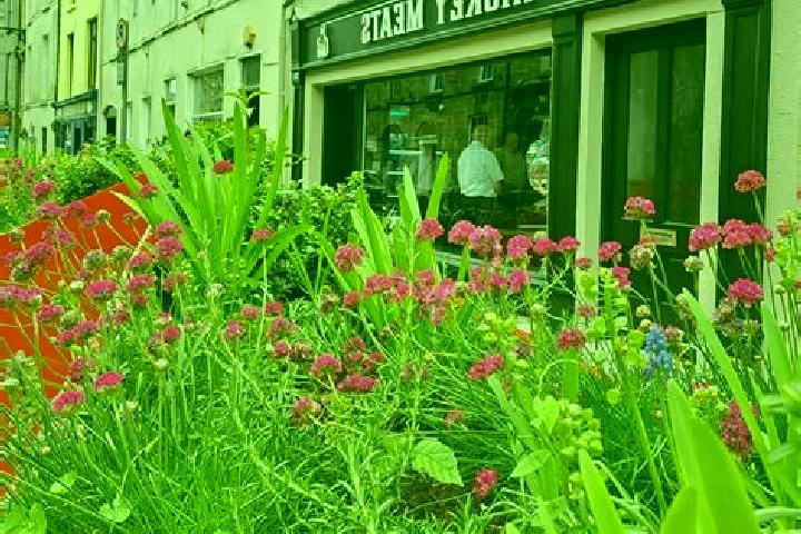 Escorts Kilsheelan, Ireland — Local Companions