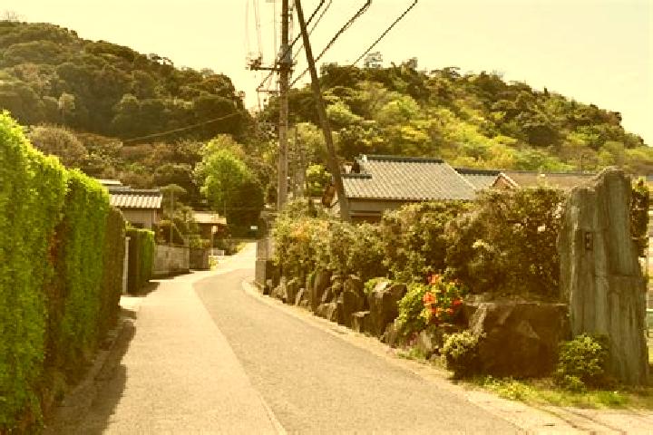Escorts Kimitsu, Japan — Local Companions