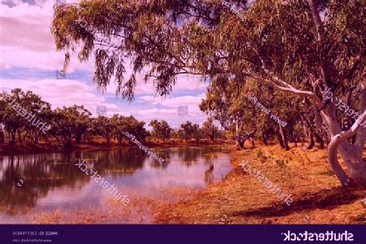 Escorts King Creek, Australia — Local Companions