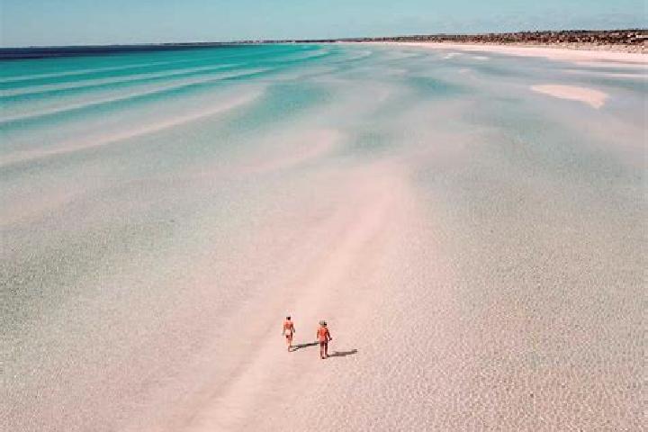 Escorts Kings Beach, Australia — Local Companions