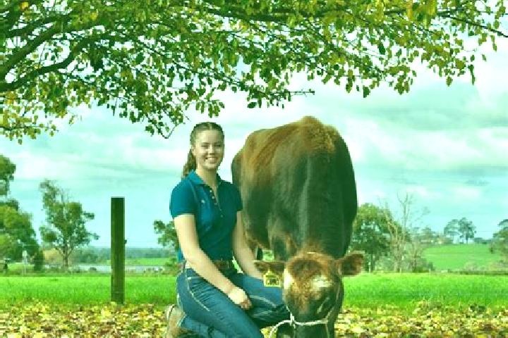 Escorts Kingsville, Australia — Local Companions