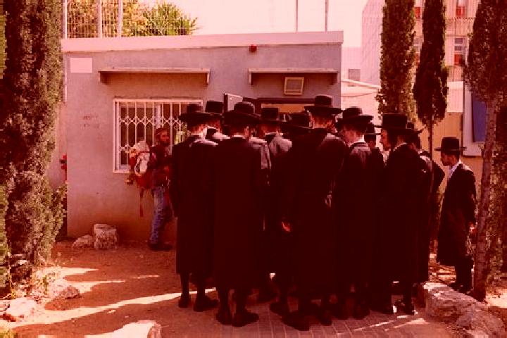 Escorts Kiryat Ono, Israel — Local Companions