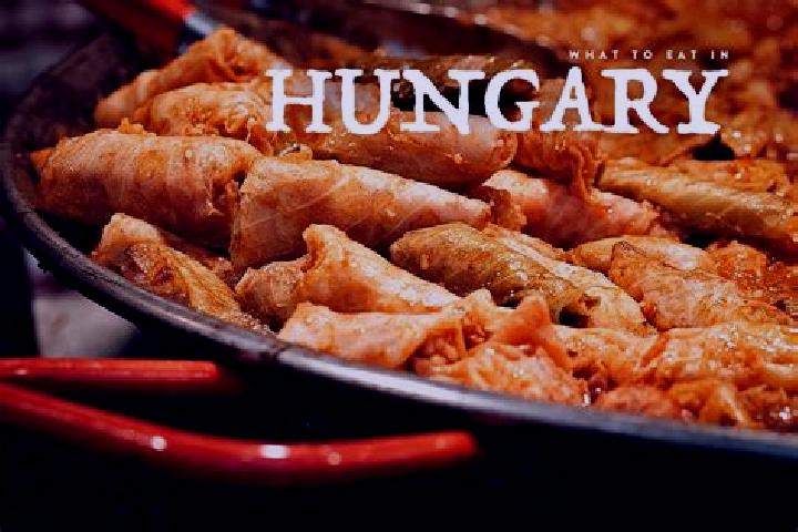 Escorts Kisgyor, Hungary — Local Companions