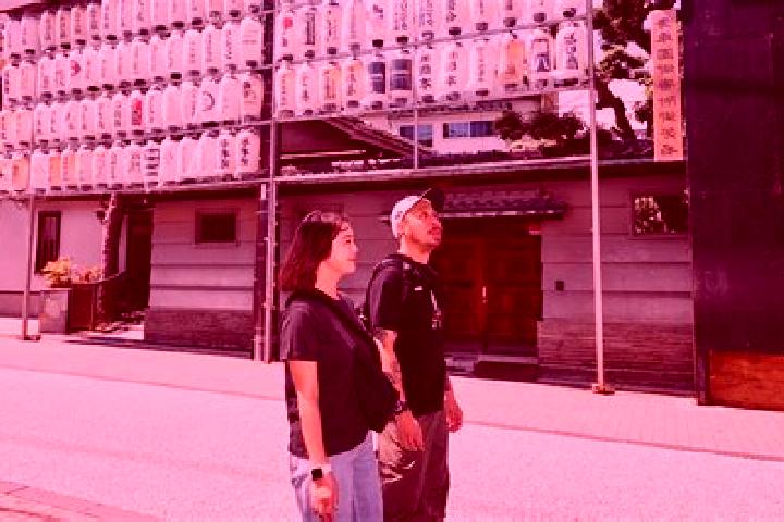 Escorts Kishiwada, Japan — Local Companions