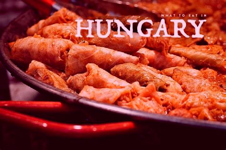 Escorts Kiskanizsa, Hungary — Local Companions
