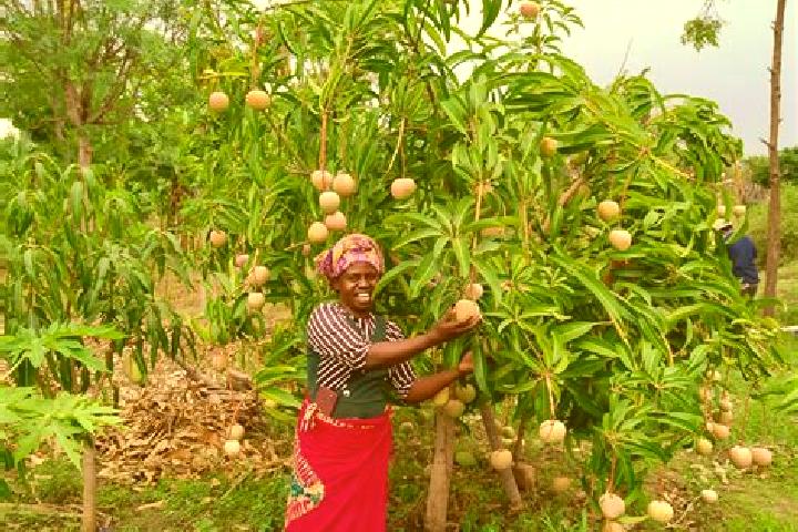 Escorts Kitui, Kenya — Local Companions