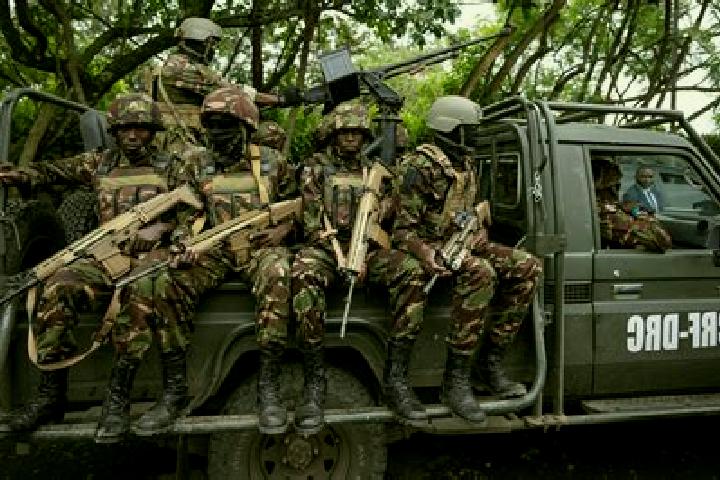 Escorts Kituku, DR Congo — Local Companions
