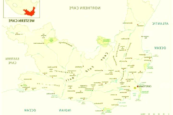 Escorts Klawer, South Africa — Local Companions