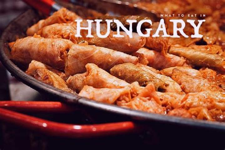Escorts Kobanya, Hungary — Local Companions