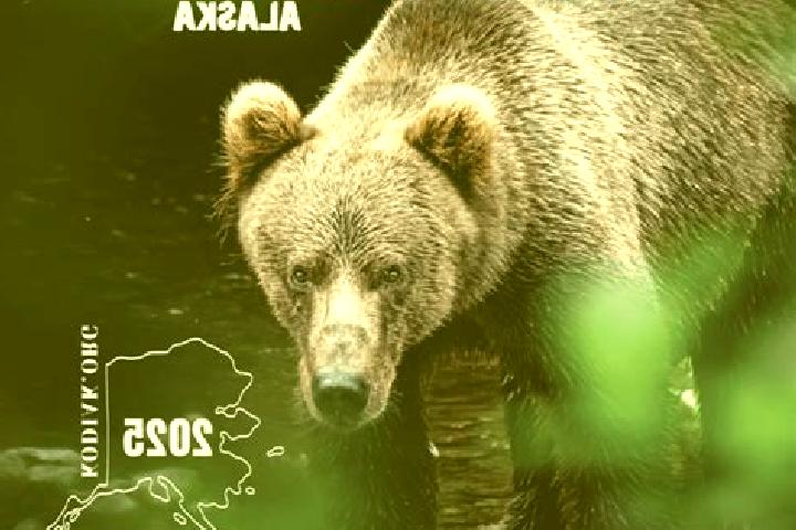 Escorts Kodiak, United States — Local Companions