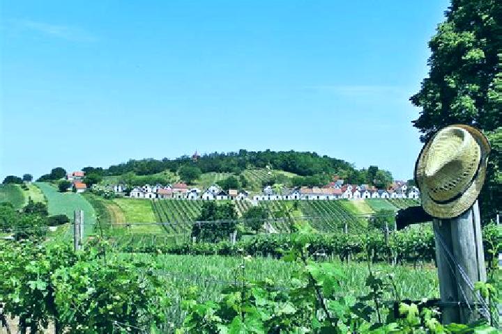 Escorts Koenigsbrunn im Weinviertel, Austria — Local Companions