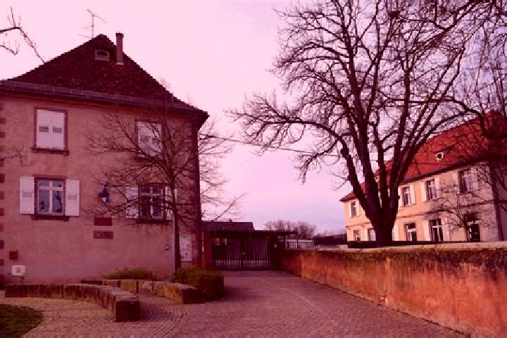 Escorts Kogenheim, France — Local Companions
