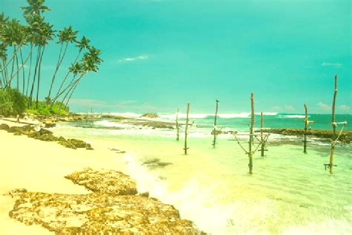 Escorts Koggala, Sri Lanka — Local Companions