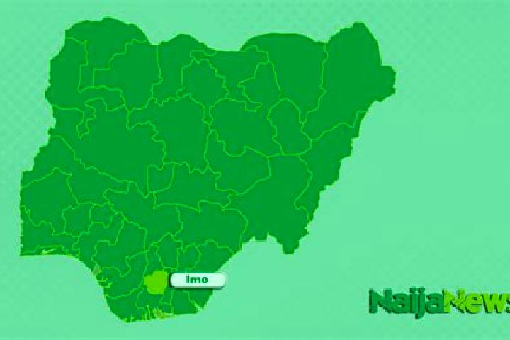 Escorts Koko, Nigeria — Local Companions