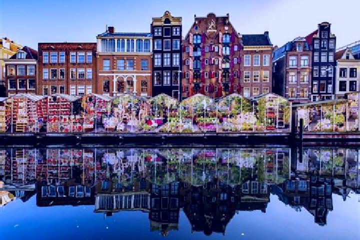 Escorts Kolham, Netherlands — Local Companions