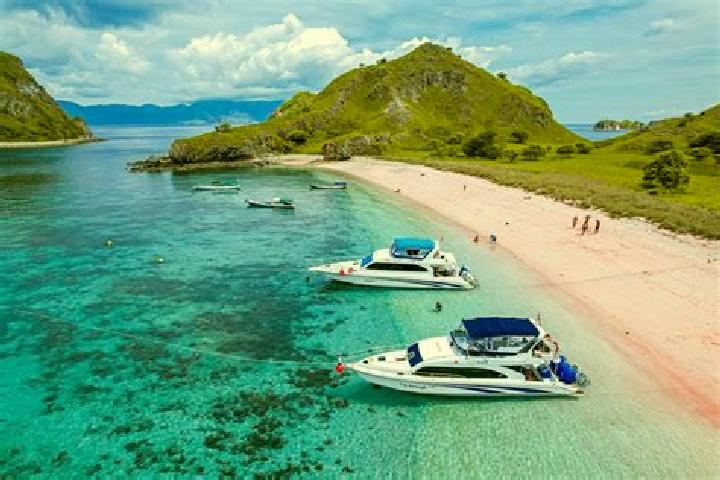 Escorts Komodo, Indonesia — Local Companions