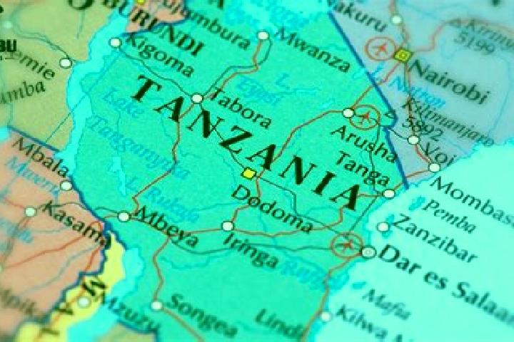 Escorts Kongwa, Tanzania — Local Companions