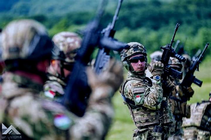 Escorts Korace, Bosnia and Herzegovina — Local Companions