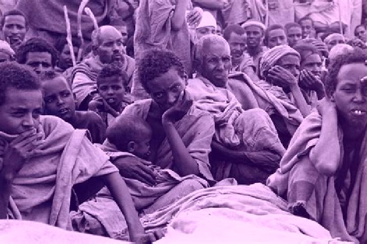 Escorts Korem, Ethiopia — Local Companions