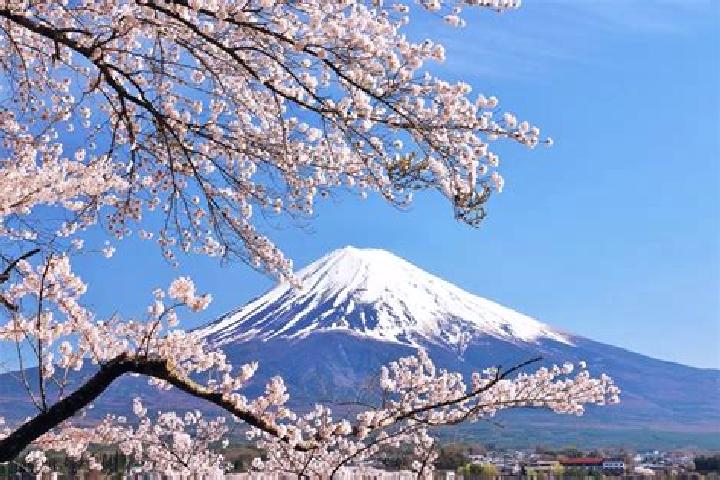 Escorts Koshi, Japan — Local Companions