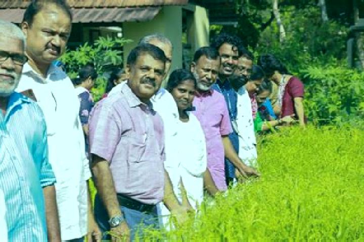 Escorts Kottuvalli, India — Local Companions