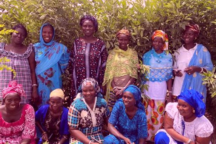 Escorts Koungheul, Senegal — Local Companions