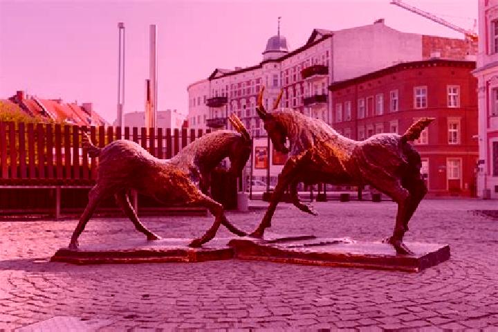 Escorts Kozieglowy, Poland — Local Companions