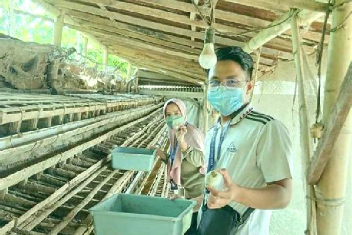 Escorts Krajan Lor Balung Kulon, Indonesia — Local Companions