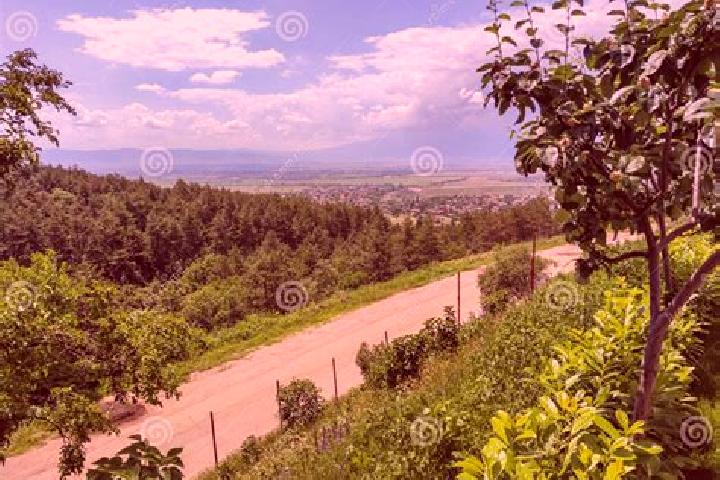Escorts Kremikovtsi, Bulgaria — Local Companions
