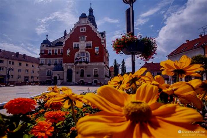 Escorts Krizanovice, Czech Republic — Local Companions