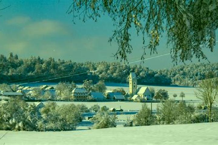 Escorts Krumbach, Austria — Local Companions