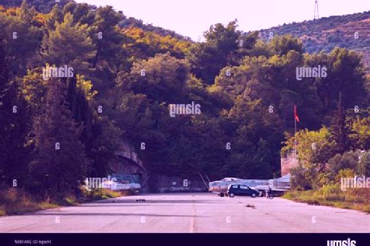 Escorts Kucove, Albania — Local Companions